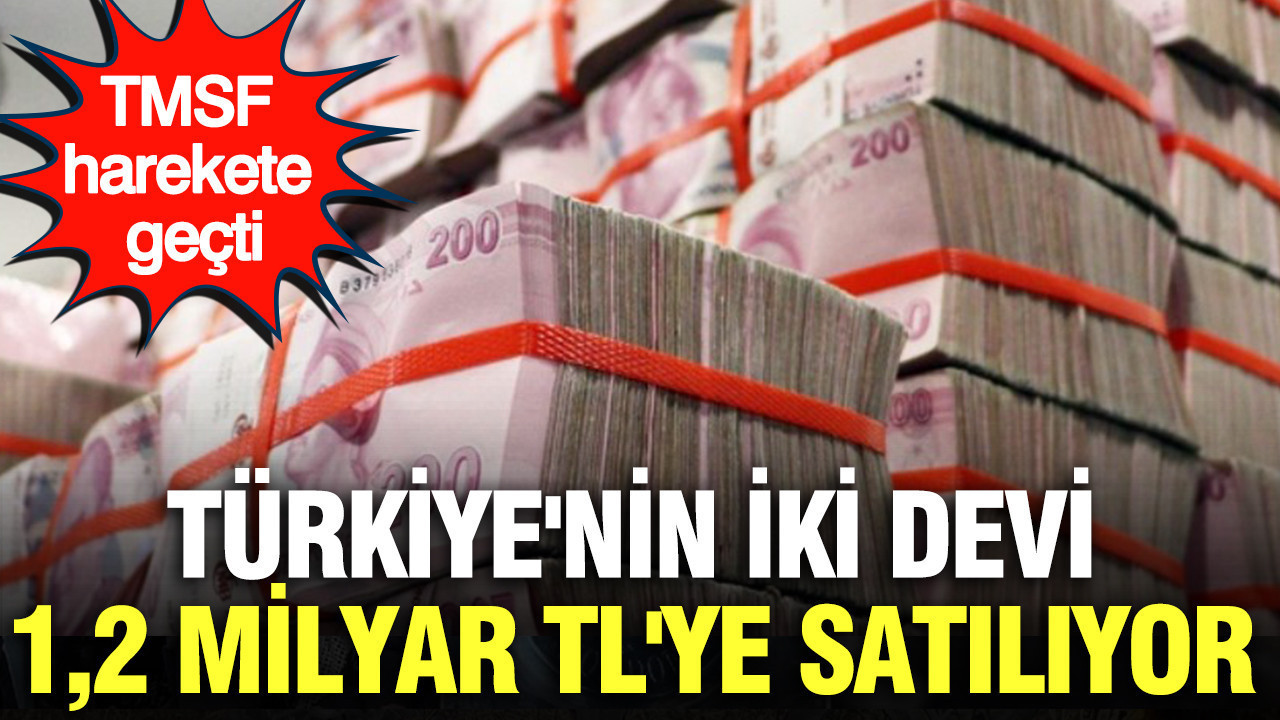 TMSF harekete geçti: Türkiye’nin iki devi 1,2 milyara satılıyor
