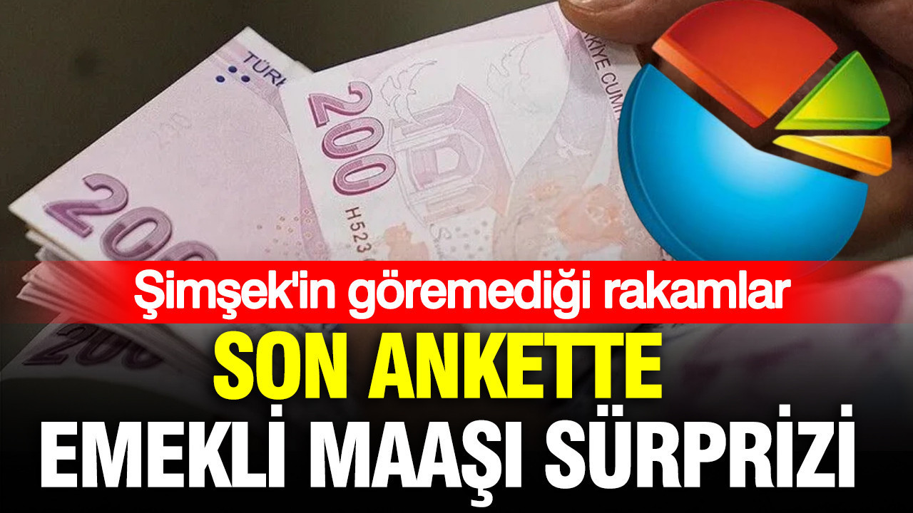 ASAL’ın son anketinde emekli maaşı damga vurdu