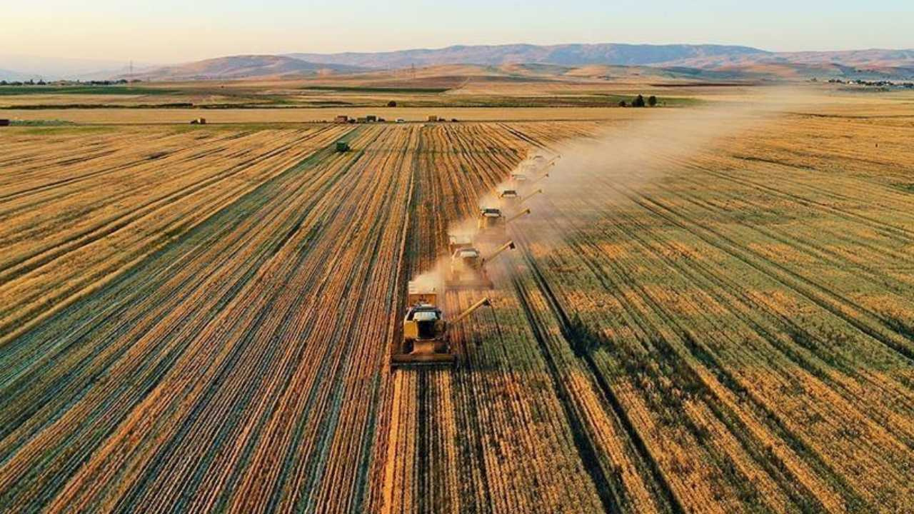 Tarımsal girdi maliyeti açıklandı: Gübrede dev artış!